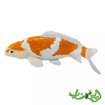 فیگور ماهی کوی کارپر – اوچیبا شیگوره موجو Koi Karper - Ochiba Shigure 381104