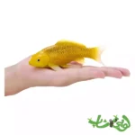 فیگور ماهی کوی کارپر - کین ماتسوبا موجو Koi Karper - Kin Matsuba 381105 - Image 6
