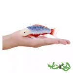 فیگور ماهی کوی کارپر – آساگی موجو Koi Carp - Asagi 381100 - Image 7