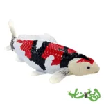 فیگور ماهی کوی کارپر – شوا سانشوکو موجو Koi Carp - Showa Sanshoku 381103 - Image 3
